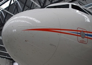 Insects stuck to an airplane
